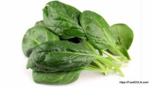 পালং শাক [ Palong Shak, Spinacia Oleracea ]