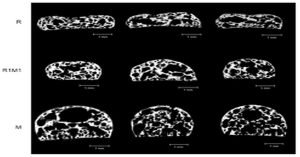 Research and development role in Food 5 Research and development R&D role