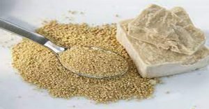 Collect the Right Ingredients - FUNDAMENTAL FACTS - PART I