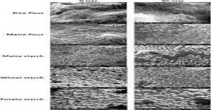 Research and development role in Food 3 Research and development R&D role