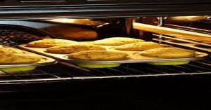 Plan to Bake It Right - FUNDAMENTAL FACTS - PART I