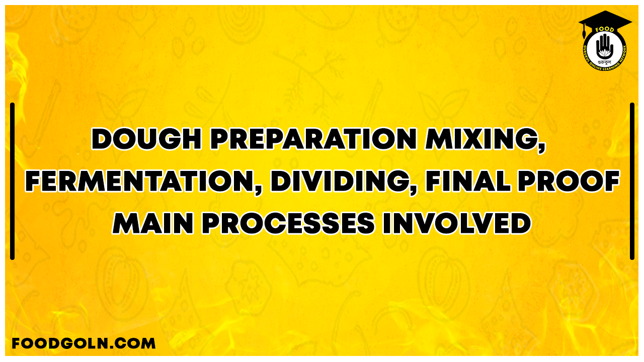 Dough preparation Mixing, fermentation, dividing, final proof - main processes involved