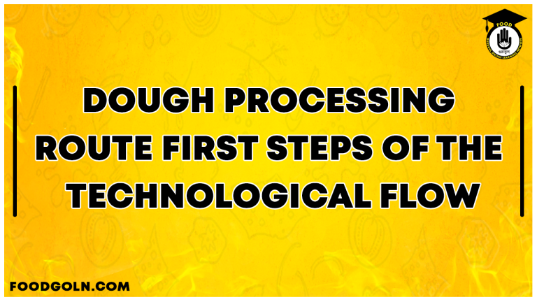Dough processing route – first steps of the technological flow