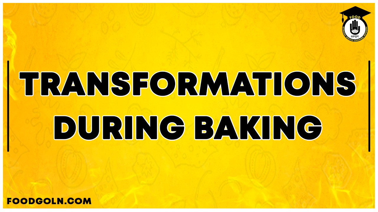 Transformations during baking